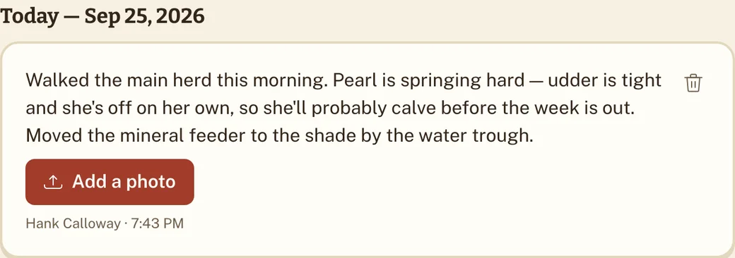 A saved daily log entry with its date and author.